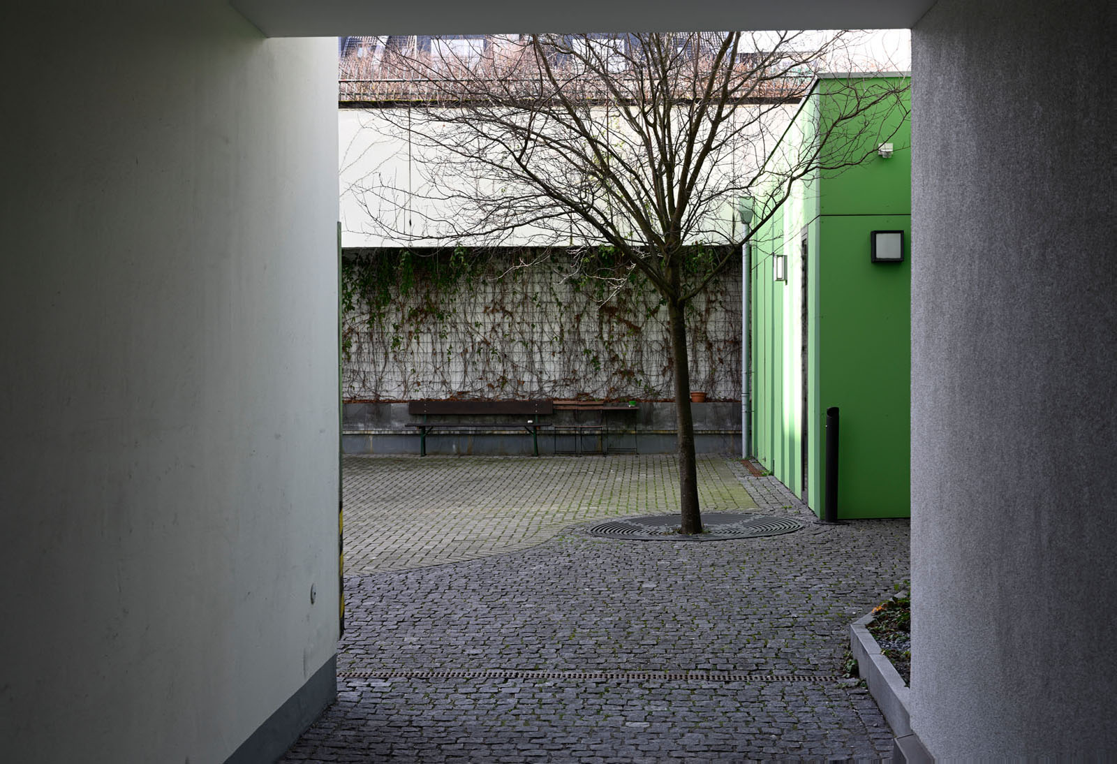 We love photography 3